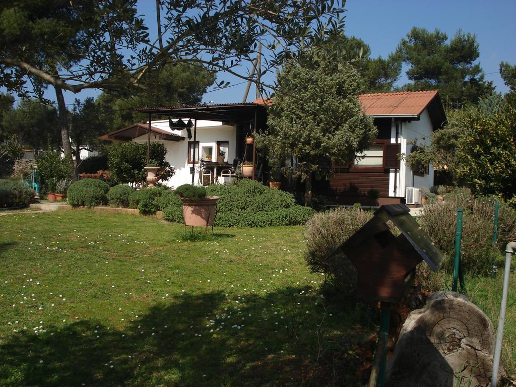 Holiday Home Julia Banjole Esterno foto